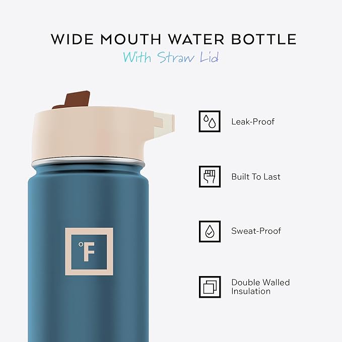IRON °FLASK Camping & Hiking Hydration Flask with Straw, Wide Mouth Insulated Stainless Steel Sports Water Bottle - 22 oz Dream Sunset