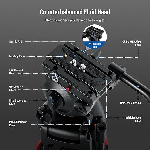 NEEWER Basic 74" Video Tripod with Fluid Head , Metal Camera Tripod with Smooth Friction Damping, Mid Level Spreader, Quick Release Plate Compatible with Manfrotto 501, Max Load 17.6lb, TP37
