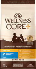 Wellness CORE+ Adult Dry Cat Food for Infoor Cats, Natural, Grain Free Kibble, Salmon and Herring Meal Recipe, 5 lb Bag