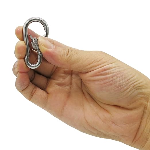 304 Stainless Steel Carabiners -2 inch Heavy Duty, Durable & Rust-Free Clips for Gym, Swing, Dog Leashes, Hammocks, Keychains, and More(304,M5 with Screw,Pack of 12)