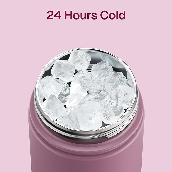 ENCOOL Insulated Water Bottle with Straw Stainless Steel Water Bottle, Leak-Proof, BPA-Free, Double Wall Vacuum Keeps Cold for 24 Hours for Sports, Travel, School (26 oz, Mountbatten Pink)