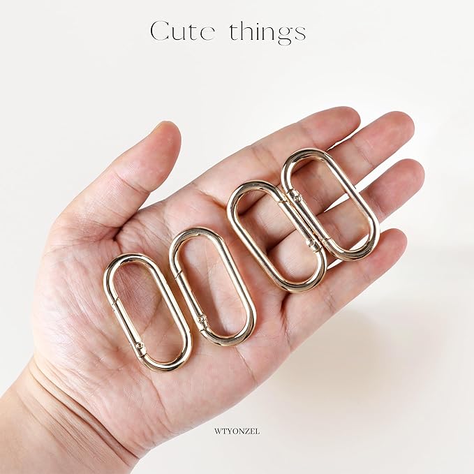 16 Pcs Carabiners Clip,Oval Shape Cute Carabiner Keychain Clip Aluminum Hook Accessories
