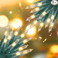 Brightown 2 Pack Each 50 Count 12 Feet Clear Christmas Mini Lights - Green Wire Incandescent Bulb Mini String Lights for Indoor Holiday Xmas Tree Garland Birthday Wedding Party Festival Decoration