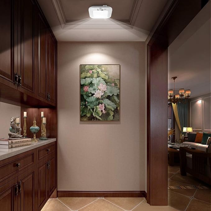 Battery Operated Ceiling Light, Motion Sensor Light Indoor, Motion Activated for Bathroom Stair Hallway Shed Laundry Daylight Auto On/Off