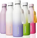 BJPKPK Insulated Water Bottles, 25 oz Stainless Steel Metal Water Bottle with Strap, BPA Free Leak Proof Jugs, Mugs, Flasks, Reusable Thermal Flasks for Sports & Travel, Lilac Elegance