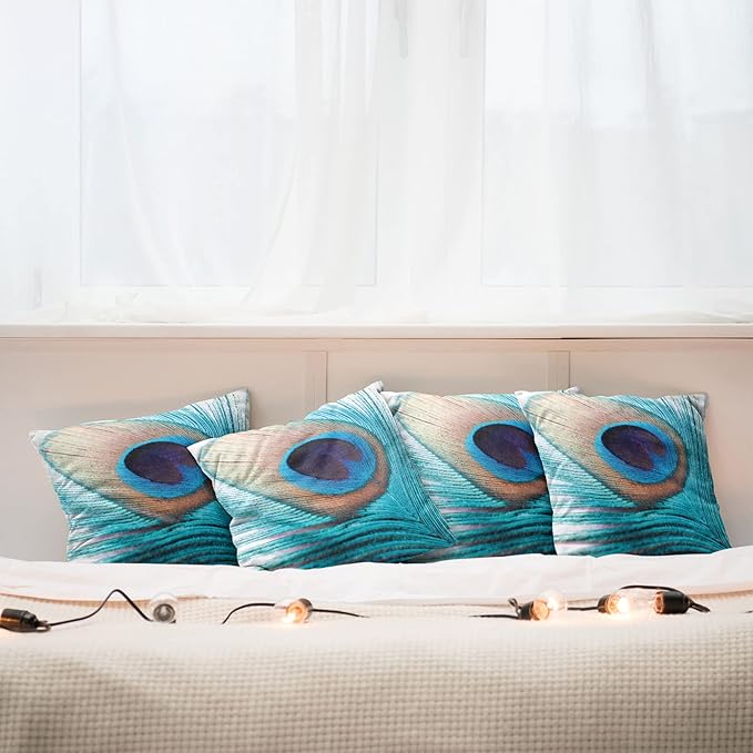 Ambesonne Feather Throw Pillow Cushion Case Pack of 4, Close up Pattern of Peacock Fluff in Vibrant Tones Natural Wildlife Theme Print, Modern Accent Double-Sided Digital Printing, 16", Aqua Cream