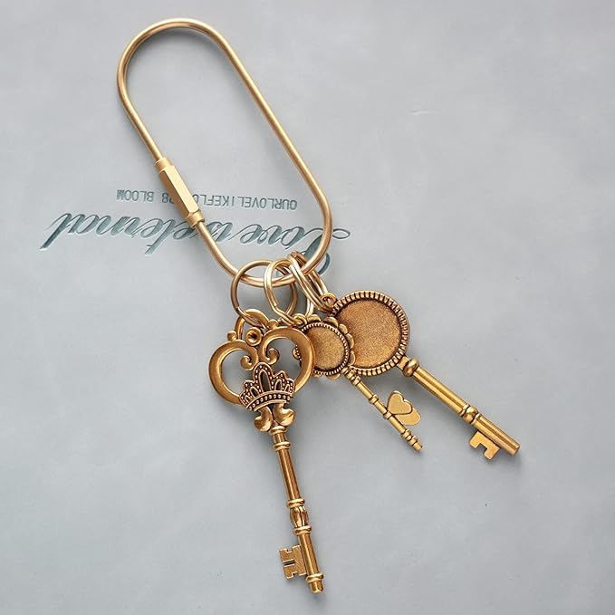CMVFYL Gold Brass Key Rings, Purse Bag Charms for Handbags, Screw Lock Key Organizer, Carabiner Keychain Clip for Keys