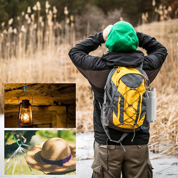 10 Pack Aluminum D Ring Key Rings Clips Locking Carabiner for Camping Fishing and Outdoor Use，Clips with Screw Gate Multicolored