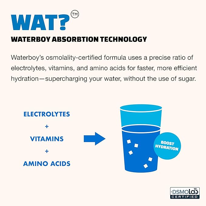 Waterboy Daily Hydration | 1,570mg Electrolyte Powder Packets | No Sugar, All Natural, Gluten Free, Zero Calories | 15 Drink Stick Mixes (Strawberry Lemonade)