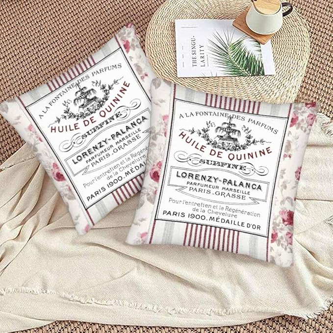 Huile De Quinine Vintage French 18 X 18 Pillow Covers Elegance Fountain Pink Rose Wreath Floral Striped Set of 2 Pillow Cases Square Outdoor Pillowcases Decorative Home Bed Sofa Couch Hotel