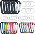 20 Pack Carabiners Clips with Keychain D Ring Caribeaner Clip Hook for Backpack Water Bottle Key Home RV Outdoor Small Item (3 Style)