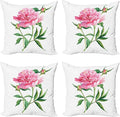 Ambesonne Watercolor Flower Throw Pillow Cushion Case Pack of 4, Vintage Peony Painting Botanical Spring Garden Flower Nature Theme, Modern Accent Double-Sided Digital Printing, 20", White Pink