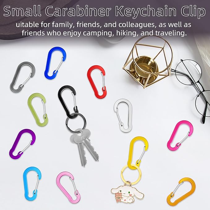 10pcs Aluminum Small Carabiner Clip, 2 Inch Carabiner Keychain Clasp Spring D Ring for Hanging Home KeyRings Hook Paracord Lanyard Keychain Pet Collar Hiking Camping Fishing Accessories (Gray)