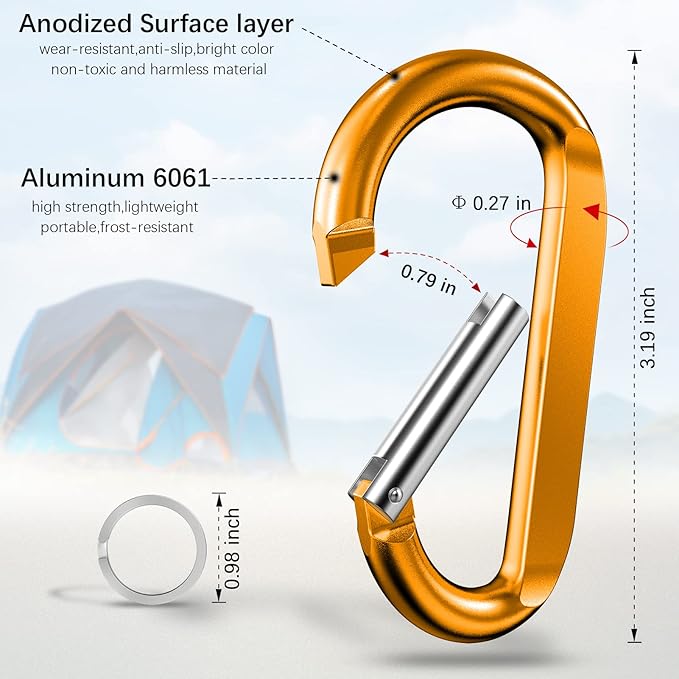 sprookber 3" Carabiner Clip Keychain, D Ring Caribeaner Clip, Key Clip Caribeener, Spring Snap Hook for Bag/Buckle, Set of 10
