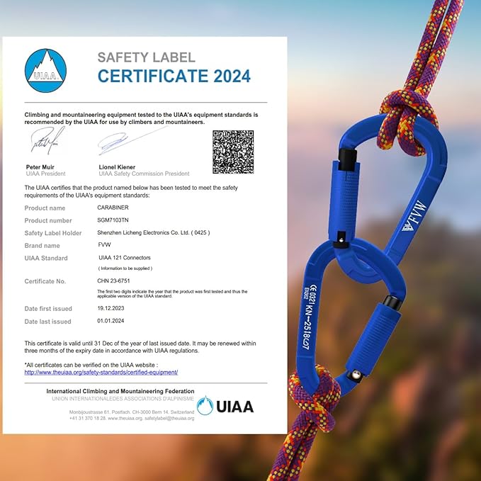 FVW Auto Locking Rock Climbing Carabiner Clips,Professional 25KN (5620 lbs) Heavy Duty Caribeaners for Rappelling Swing Rescue & Gym etc, Large D-Shaped Carabiners