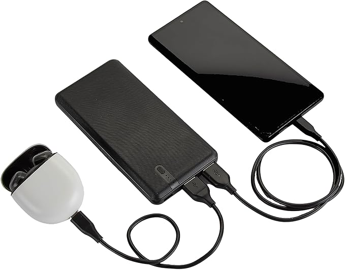 Interstate Batteries Portable Charger, 20,000mAH Power Bank, 20K Battery Pack with 2-Port, 5V, 20Ah High-Speed Charging for Cell Phones, Tablets, Electronics, Emergencies (LED, USB Input and Output)