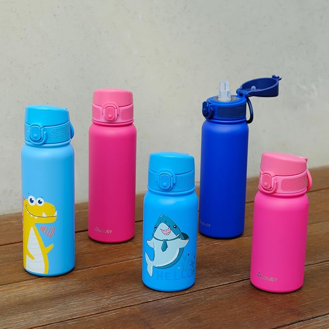 OLDLEY 12oz Kids Water Bottle, Stainless Steel Insulated Water Bottle For Kids, With Straws Leak-proof, Kids Water Bottles For School Boys Girls,Dinosaur