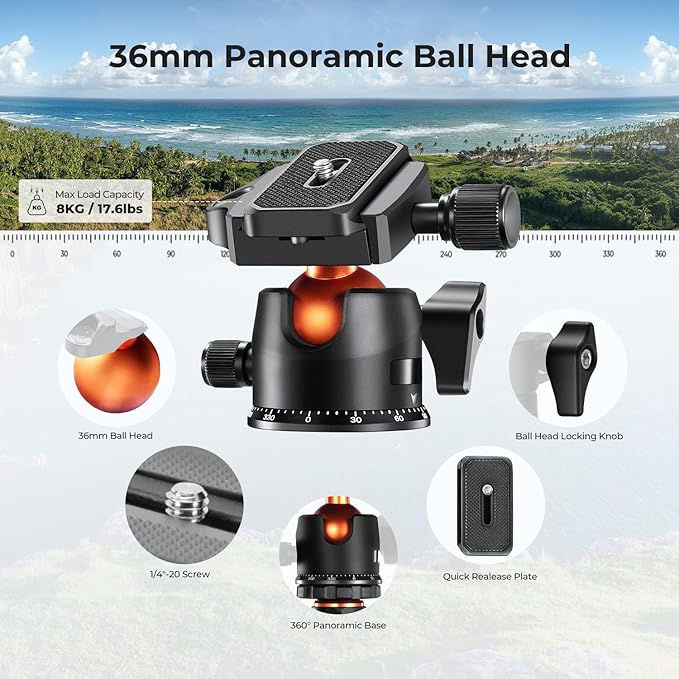K&F CONCEPT 64" Carbon Fiber Camera Tripod,Lightweight Travel Tripod with 36mm Metal Ball Head Load Capacity 17.6lbs, Quick Release Plate,for DSLR Cameras Indoor Outdoor Use O254C2+BH-36