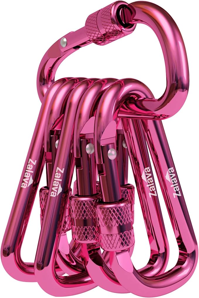 6PCS Carabiner Keychain, 2 inch Aluminum D-Clip Caribeener with Hook