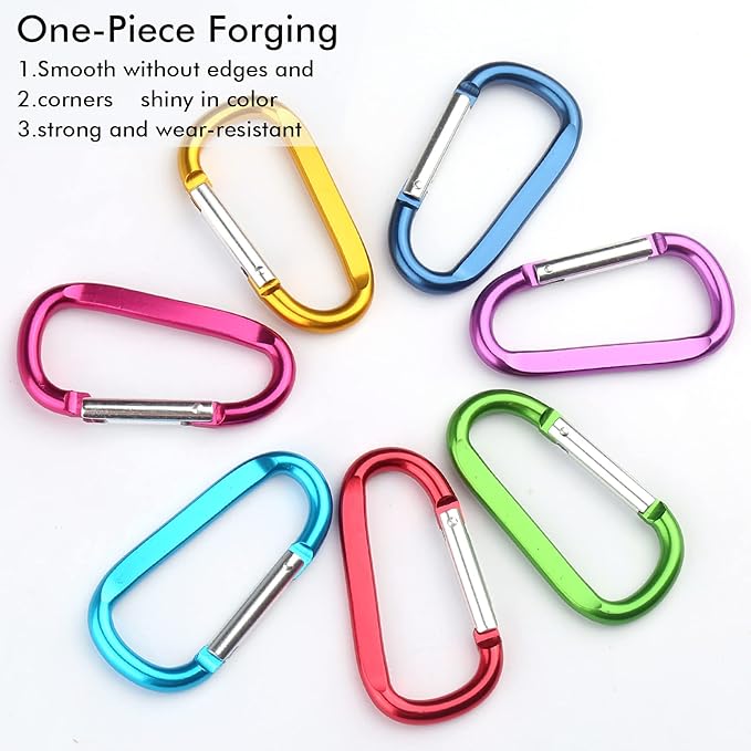 CampTek Carabiner Caribeaner Clip,3" Large Aluminum D Ring Shape Carabeaner with Keyring Keychain Hook