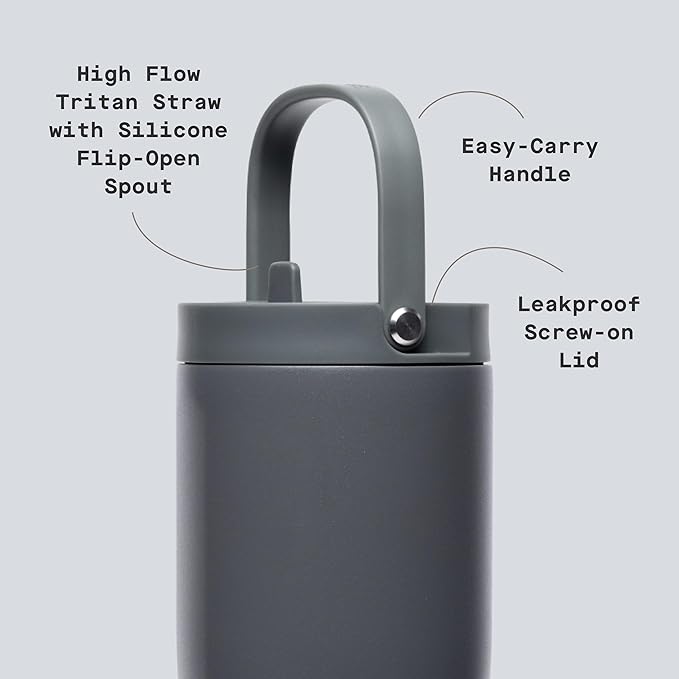 Corkcicle Go Cup XL - Leak-Proof Travel Tumbler - Triple Insulated Stainless Steel Water Bottle - Easy-Carry Handle - Summer Drinkware Gift - Keeps Drinks Ice Cold - 30 oz - Flint