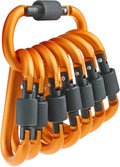 10 Pack Aluminum D Ring Key Rings Hiking Clips Locking Carabiner for Hiking Camping Fishing and Outdoor Use，Clips with Screw Gate Multicolored