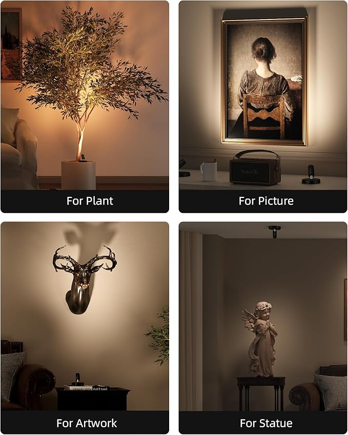 EZVALO Spotlights Indoor with Remote, 5500mAh Rechargeable Picture Lights, Wireless Uplights with Timer & Dimmable, 3-CCT, Display Lights for Plant, Painting, Artwork, Accent Lighting (2-Pack Black)