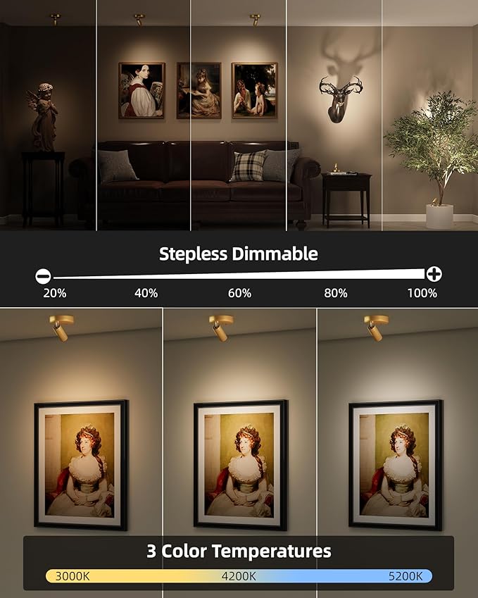 EZVALO LED Spotlight Indoor, 5500mAh Rechargeable Battery-Powered Picture Lights, Wireless Mini Art Accent Spotlights with Remote, Uplighting for Plants, Display, Artwork (1-Pack-Gold)