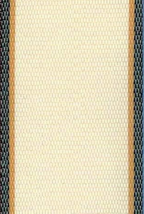 Lawn Chair USA Replacement Lawn Chair Webbing - Webbing for Lawn Chairs, Beach and Camping. UV-Resistant Webbing Strap Made with Durable Polypropylene (3" x 50', Charleston Tan)