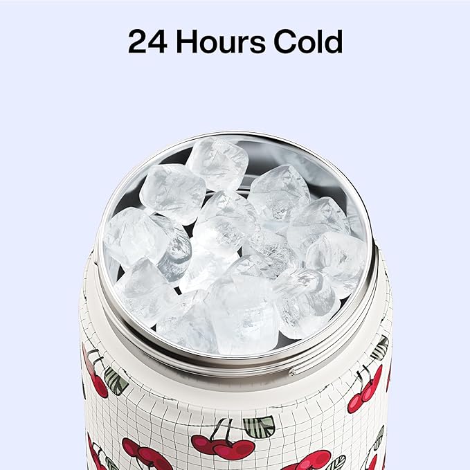 ENCOOL Insulated Water Bottle with Straw Stainless Steel Water Bottle, Leak-Proof, BPA-Free, Double Wall Vacuum Keeps Cold for 24 Hours for Sports, Travel, School (26 oz, Cherry)