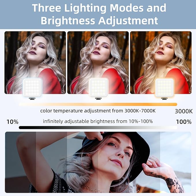 Zeadio Camera Stabilizer Kit, All-in-One Handheld Stabilizer with LED Video Light, Microphone, Phone Holder & Action Camera adaper, Fits for All Camera, DSLR, Action Camera and All Smartphones