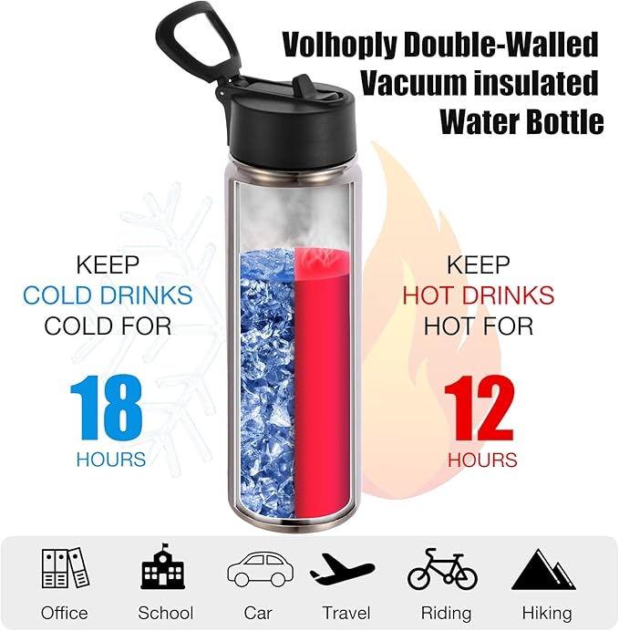 Volhoply 24oz Insulated Water Bottle With Straw Bulk 6 Pack,Metal Wide Mouth Water Bottles With Handle Lid Keep Cold,Reusable Double Wall Cups,Powder Coated Sport Bottle For Holder(Sliver,6 Count)