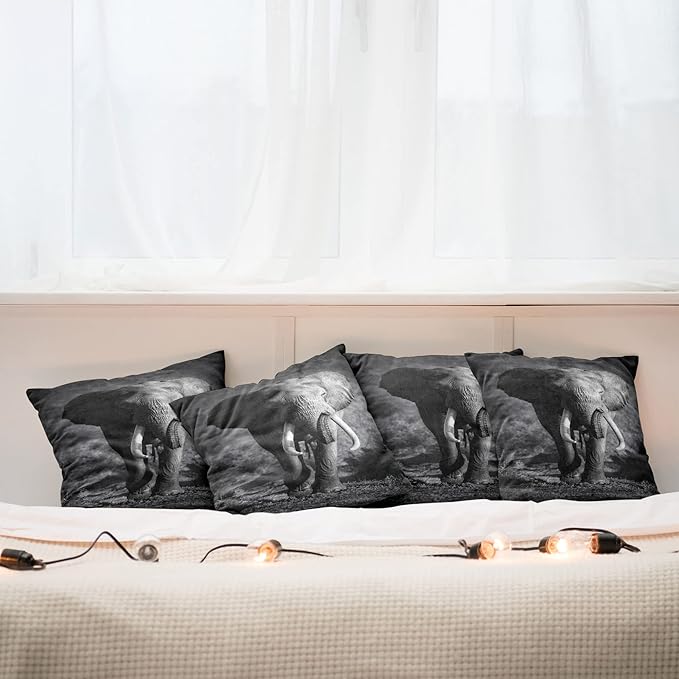 Ambesonne Elephant Throw Pillow Cushion Case Pack of 4, Majestic Elephant Bull Approaching Photo Exotic Wild Habitat Mammal Art Print Safari, Modern Accent Double-Sided Digital Printing, 16", Dimgrey