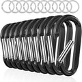 sprookber 3" Carabiner Clip Keychain, D Ring Caribeaner Clip, Key Clip Caribeener, Spring Snap Hook for Bag/Buckle, Set of 10
