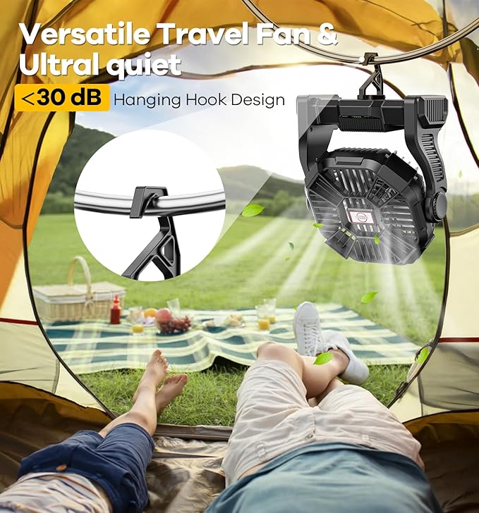 DOWILLDO 20000mAh Portable Battery Powered Camping Fan - with LED Light, Quiet Battery Operated, Camping Gear for Travel, Tent, Beach, Car or Hurricane Power Outages, Black