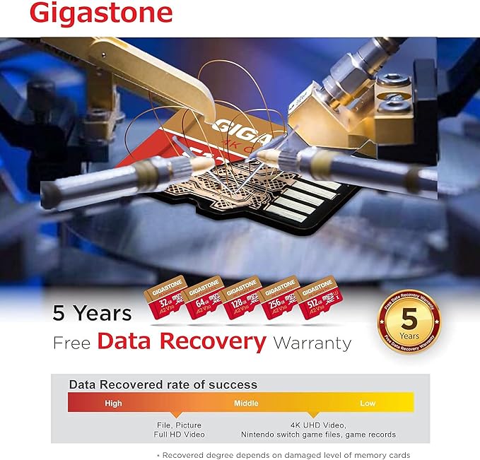【5-Years Data Recovery】 GIGASTONE 256GB Memory Card 2 Pack 4K Pro Camera Compatible with GoPro Switch, Speed 100MB/s. A2 U3 V30 Micro SDXC Card with SD Adapter.