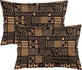 African Ethnic Pattern Throw Pillow Covers Set of 2 Queen Size Abstract Tribal Art Pillow Cushion Cases Standard Pillow Cases Decorative Pillowcase 20X30 Inch for Sofa Bed
