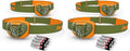 Energizer LED Headlamp PRO (4-Pack), IPX4 Water Resistant Headlamps, High-Performance Head Light for Outdoors, Camping, Running, Storm, Survival LED Light for Emergencies (Batteries Included)