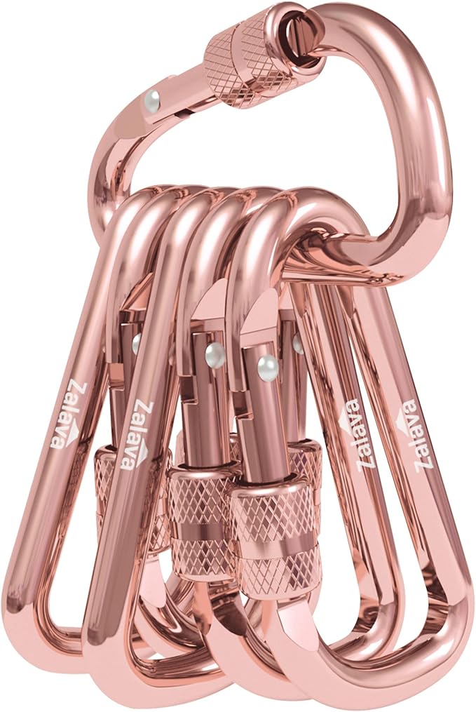 6PCS Carabiner Keychain, 2 inch Aluminum D-Clip Caribeener with Hook