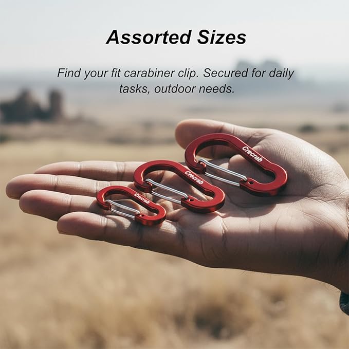 12Pcs Carabiner Clips Assorted Sizes Pack, Includes Small Medium Large 2/2.4/2.8 Inch Aluminum Carabiner Multicolor D Shape Keychain Clip for Backpack