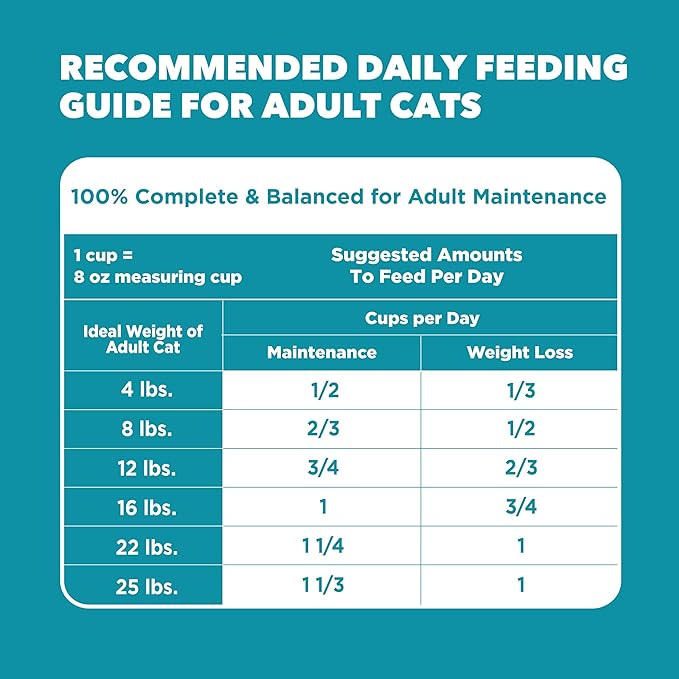 IAMS Proactive Health Dry Cat Food, Indoor Weight and Hairball Care Cat Food Dry Recipe, with Real Chicken in Every Bite, 3.5 lb. Bag