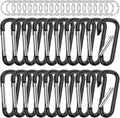 sprookber 2.28" Small Carabiner Clip Keychain, D Ring Caribeaner Clip, Key Clip Caribeener Multipurpose, Set of 20 Pack