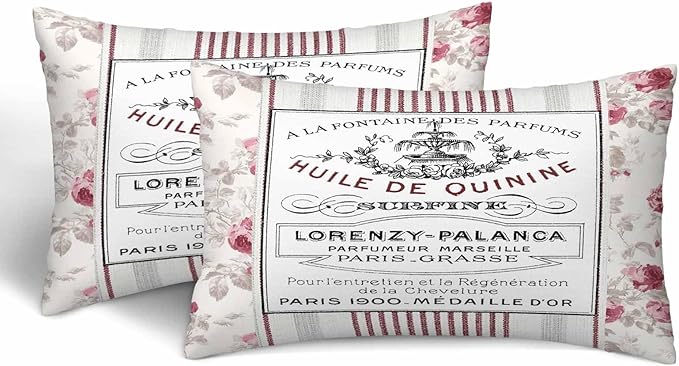 Huile De Quinine Vintage French 12 X 20 Pillow Covers Elegance Fountain Pink Rose Wreath Floral Striped Set of 2 Pillow Cases Outdoor Pillowcases Decorative Home Bed Sofa Couch Hotel