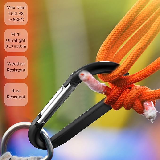 sprookber 3" Carabiner Clip Keychain, D Ring Caribeaner Clip, Key Clip Caribeener, Spring Snap Hook for Bag/Buckle, Set of 10