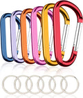 CampTek Carabiner Caribeaner Clip,3" Large Aluminum D Ring Shape Carabeaner with Keyring Keychain Hook