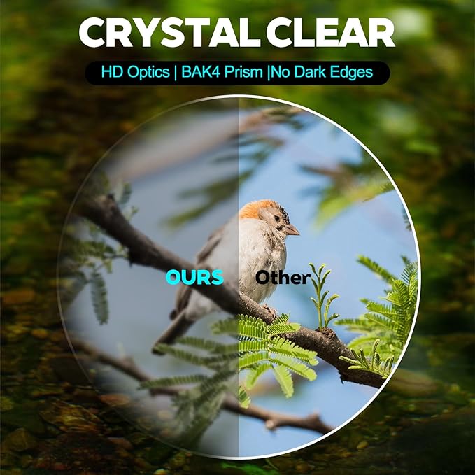 Realis 10x25 Compact Binoculars for Kids and Adults, Large View Small Binoculars for Bird Watching, Waterproof with Low Light Vision BAK4 Prism FMC Lens for Cruise Ship Travel Hunting