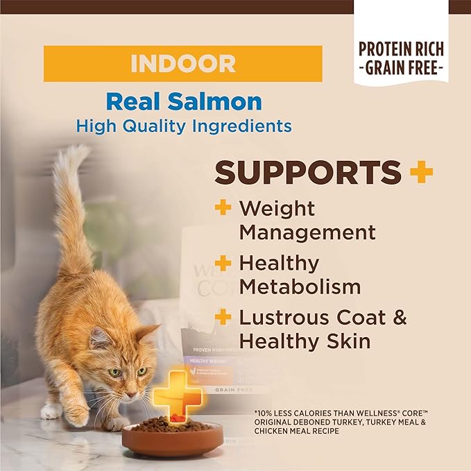 Wellness CORE+ Adult Dry Cat Food for Infoor Cats, Natural, Grain Free Kibble, Salmon and Herring Meal Recipe, 5 lb Bag