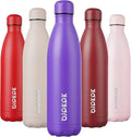 BJPKPK 25oz Insulated Stainless Steel Water Bottles Travel Sports Metal Water Bottles, Purple Cap