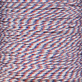 Paracord Planet 95lb Paracord – 1 Strand Type I Parachute Cord for Outdoors and DIY – Red, White, and Blue (25 ft)
