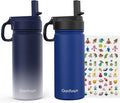 Kids Water Bottle, 2-Pack 16oz Kids Water Bottle with Stickers for School, insulated Stainless Steel Straw Cup(Sapphire+Gray)